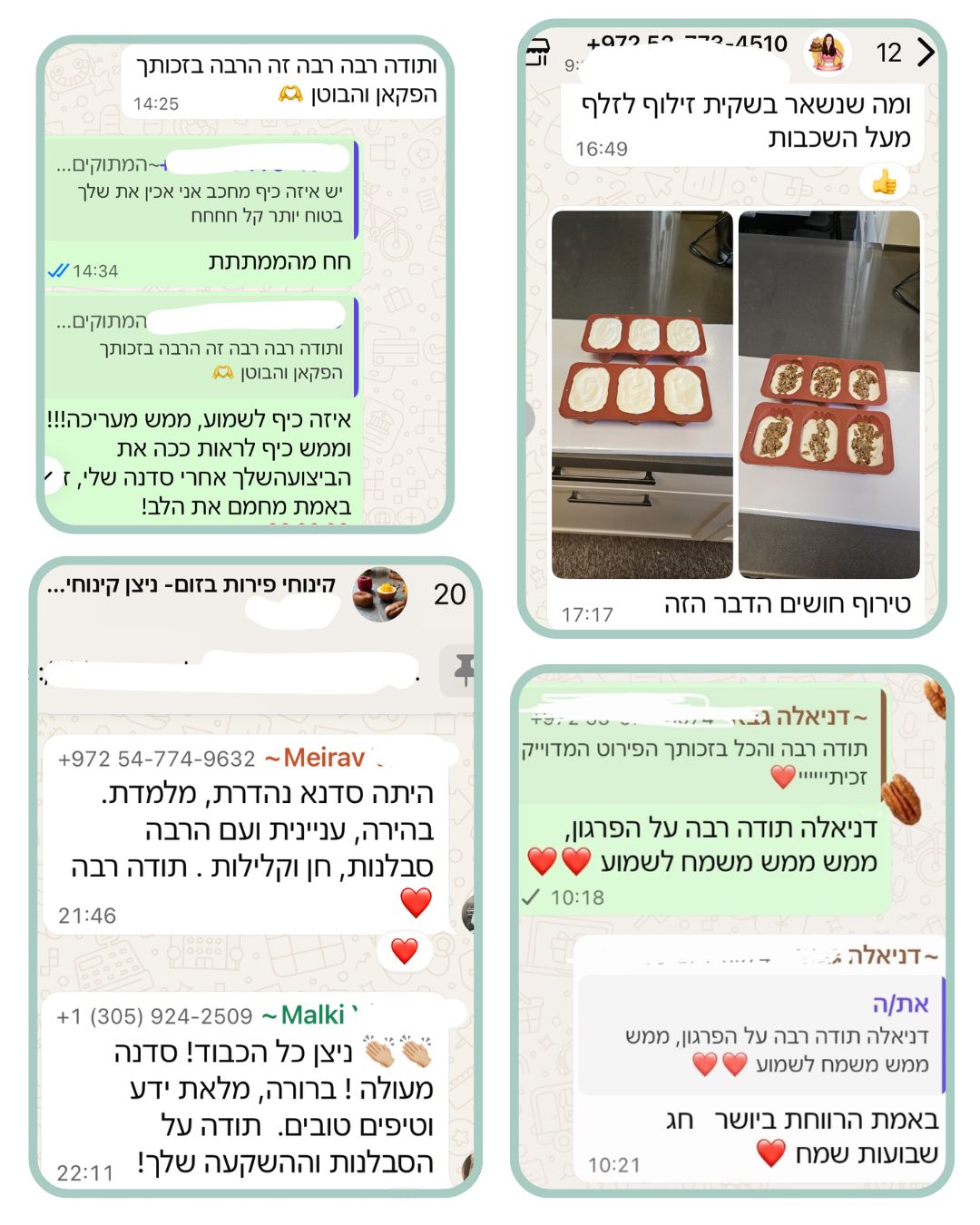המלצה על סדנת קינוחי פירות קראנץ'